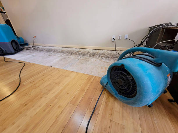 Professional Water Removal technician working in Stewarts Point, CA